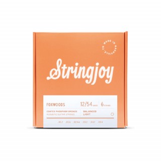 Stringjoy FOXWOODS Coated Phosphor Bronze 12-54 磷青銅鍍膜 6弦木吉他套弦 STRSJ-FW1254